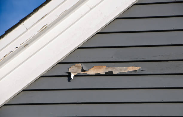 Trusted Lewiston, UT Junk Removal Experts
